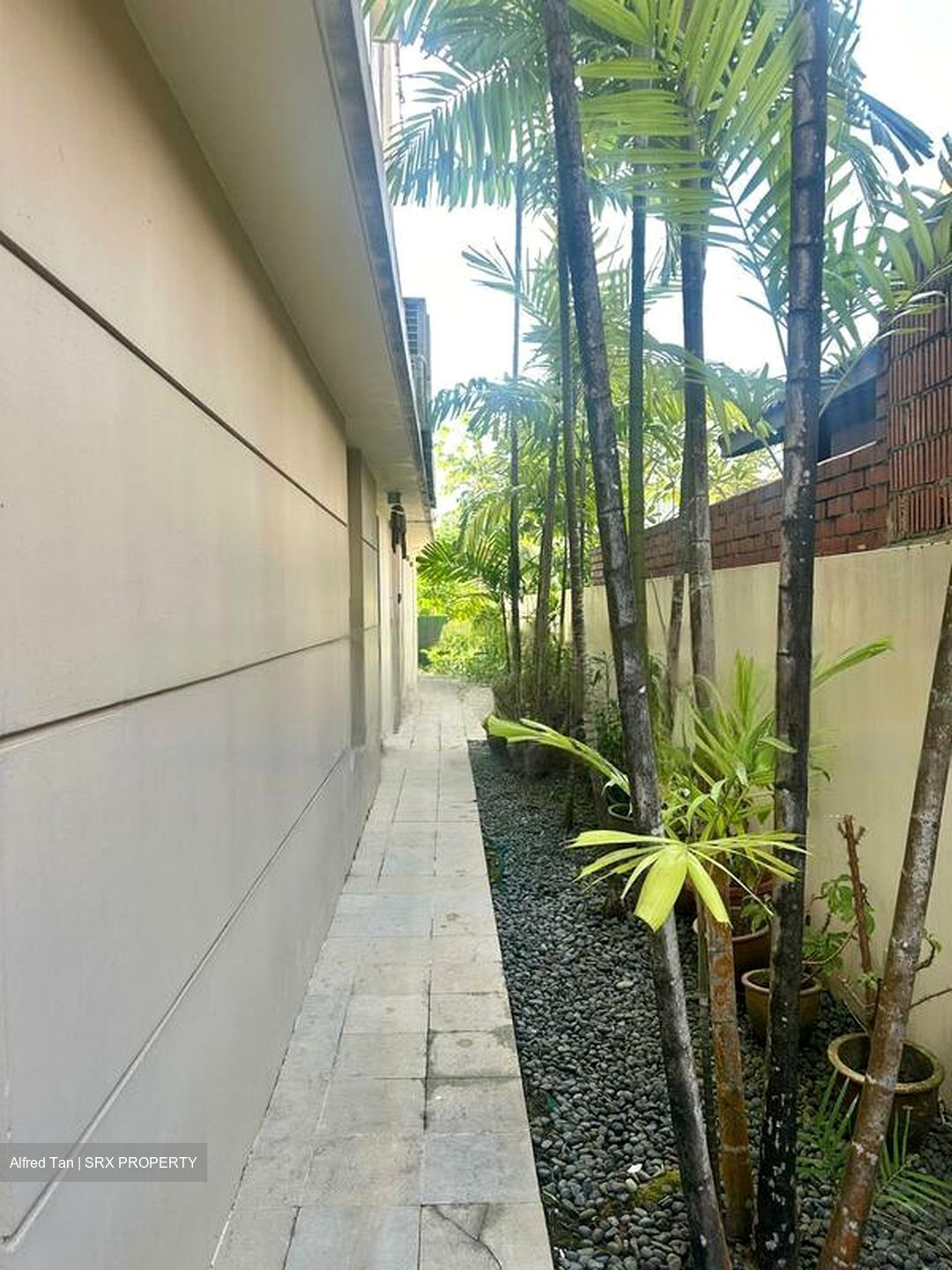 Bukit Timah Road (D10), Detached #447444011